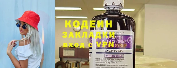 соль ск Няндома