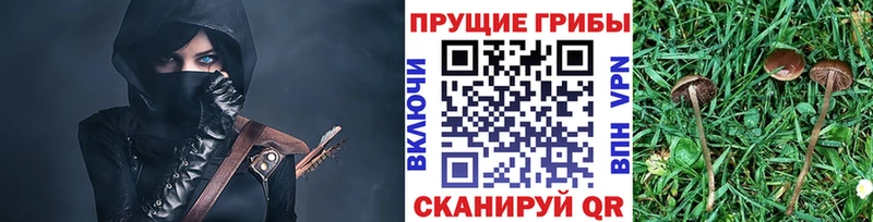 Галлюциногенные грибы GOLDEN TEACHER Абдулино